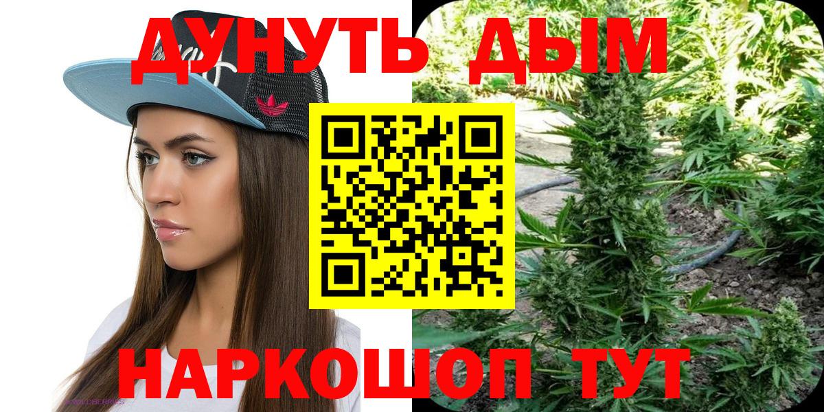 МАРИХУАНА конопля  Бошки марихуана марихуана  Киселёвск  Вход с VPN  Марихуана SATIVA & INDICA  МАРИХУАНА марихуана 